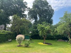 Einfamilienhaus mit Garten