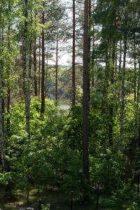 Szklany Dom nad Łąkami