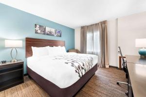 King Room - Non-Smoking room in Rodeway Inn