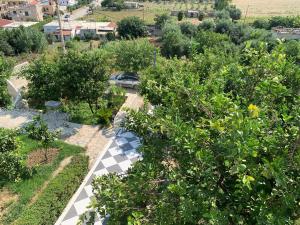 Sophias rent apartments