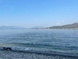 Appartamento sul Lago - MEINA