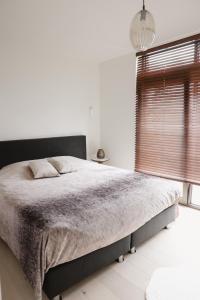 Brand New Apartment Sint-niklaas