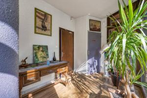 Hotels Les Sirenes : photos des chambres