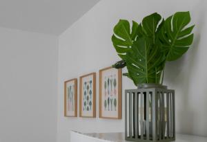 Residence Le Celest - Appartements climatises - Centre ville : photos des chambres