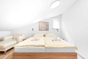 Ivano Apartment