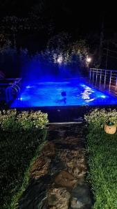 Sapanca Seyrusefa Villa