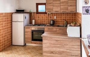 Apartment Vir Iii