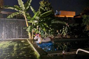 Villa Oyster Park Isıtmalı Yıldız Efektli Çocuk Havuzlu Villa