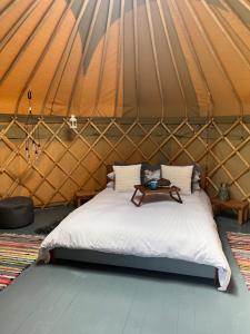 Nordic Glamping at Botswicky