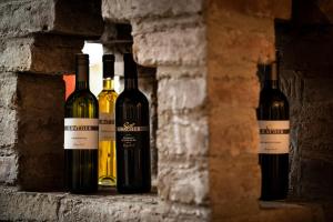 Weingut-Ferienwohnungen Kracher