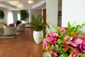 Miramar Hotel Spa & Apartments