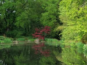 B&B / Chambres d'hotes Chez Sophie : photos des chambres