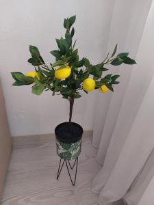 Cluj Zorilor Residence