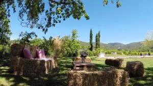 La Fontaine des Noyers - Les Gros Cléments