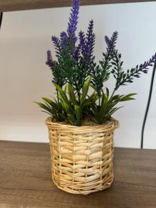 Corvin Gem2 Apartment with Parking