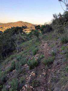 Thornybush, River Cottage