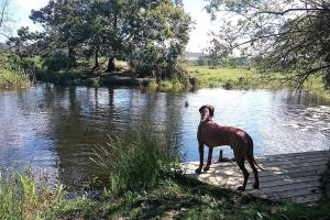 Thornybush, River Cottage