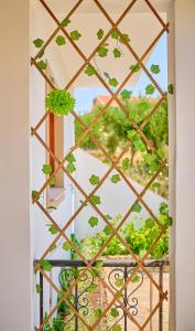 PLACIDUS SUMMERhouse ARILLAS