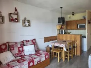 Charmant F2 au pied des pistes, 4 couchages, wifi, parking - FR-1-295-198 - 弗米盖赫