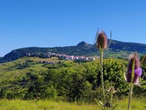 Albergo Conte Max