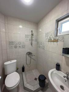 holiday bakuriani villa with 5 bedrooms