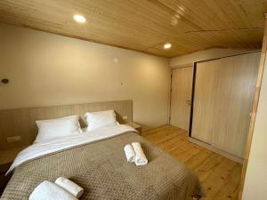 holiday bakuriani villa with 5 bedrooms