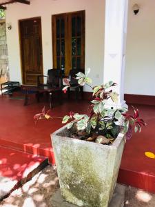 Sigiri Mihira Home Stay