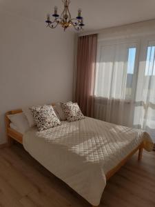 Apartament Biłgorajski w Śródmieściu