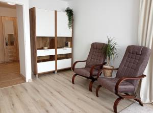 Apartament Biłgorajski w Śródmieściu