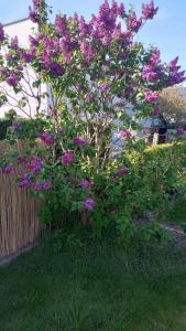 Apartament Wakacyjny JM