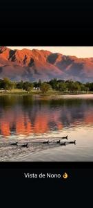 Cabaña 2 habitaciones