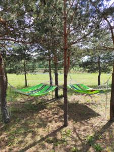 Viesu māja Bezdelīgas