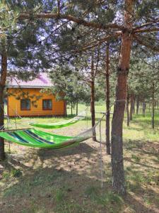 Viesu māja Bezdelīgas