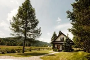 Na kwietnej łące - chata w Bieszczadach wysokich - Przysłup