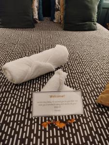 Appartements Nancy Vieille Ville Stanislas : photos des chambres