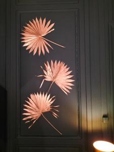 Appartements Nancy Vieille Ville Stanislas : photos des chambres