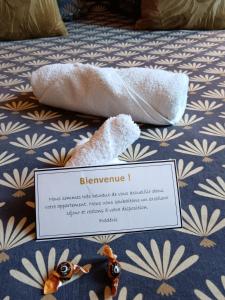 Appartements Nancy Vieille Ville Stanislas : photos des chambres