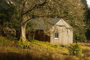 Timber Cottage
