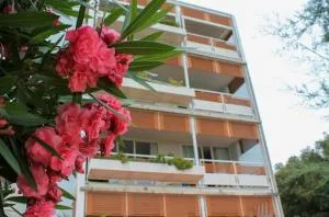 SaporeDiMare - Full Comfort Quiet Apartment with Seaview Rooftop Pool - 马里纳-迪-皮特拉桑塔