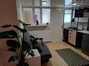 Appartements Paris with added zen : photos des chambres