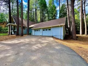 Cabin in the Trees-Game Room - Pollock Pines