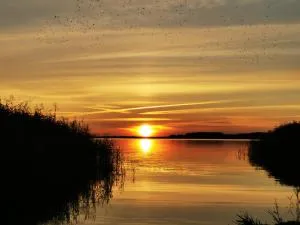 Fewo Am Markt - Buchholz