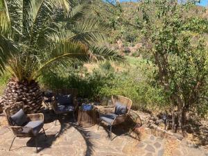 Quinta Cornélia - Casas Novas