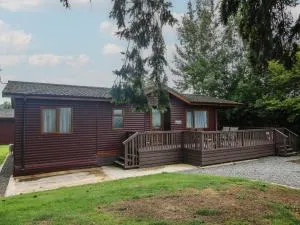 Foxglove - Pembridge