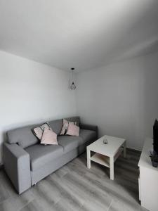 Flamboyán Vista Mar