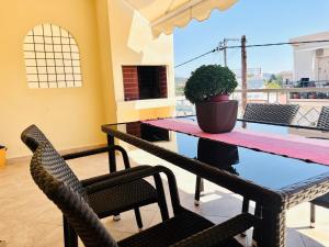 Polyxenis Summer Escape