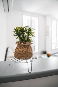 Appartements Etoile des Halles Bergerac centre : photos des chambres