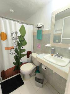 Equipped Yaxkin Studio on downtown, 3 blocks away from sea, close to restaurants