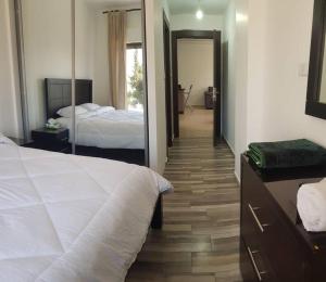 Apartment in Amman Abdoun area