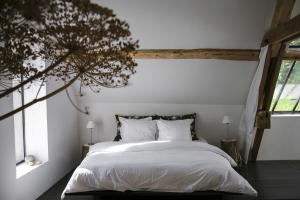 B&B / Chambres d'hotes Etxeaona : photos des chambres